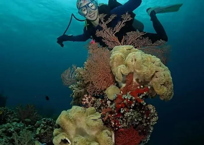 Menjangan Sari ゲストハウス