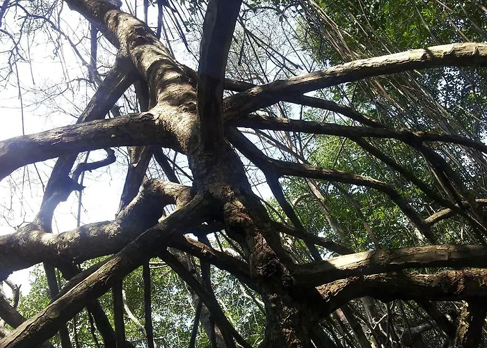 Menjangan Sari Banyuwedang